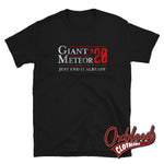 Cargar imagen en el visor de la galería, Just End It Already Giant Meteor 2020 T-Shirt - Political Clothing Black / S
